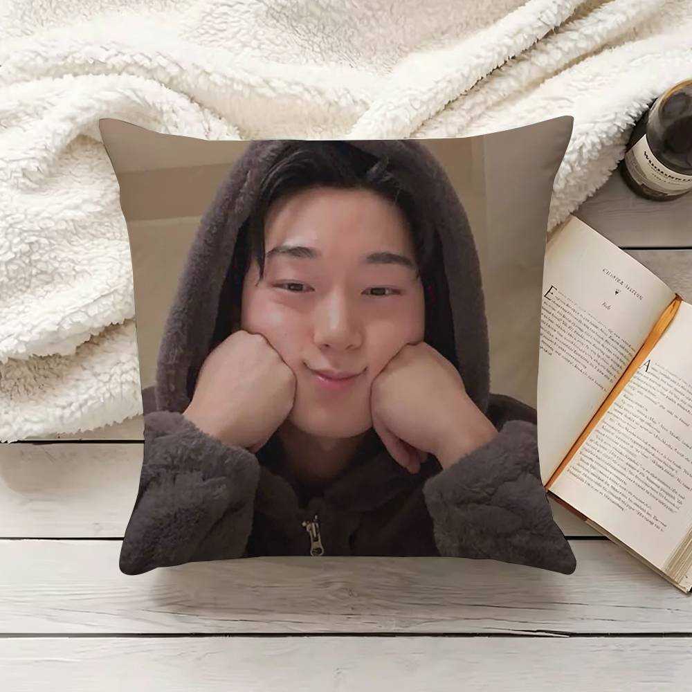 C-Choi S-San Fodera per cuscin - Home.Textiles Cushion recensione e prezzo